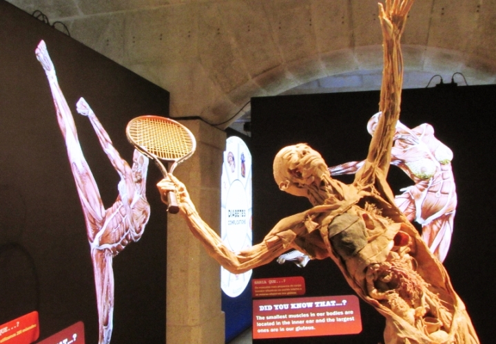 Visita de Estudo ao Museu da Farmácia e Exposição do Corpo Humano.